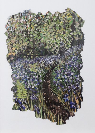 Bluebell Wood by Kirstie Adamson